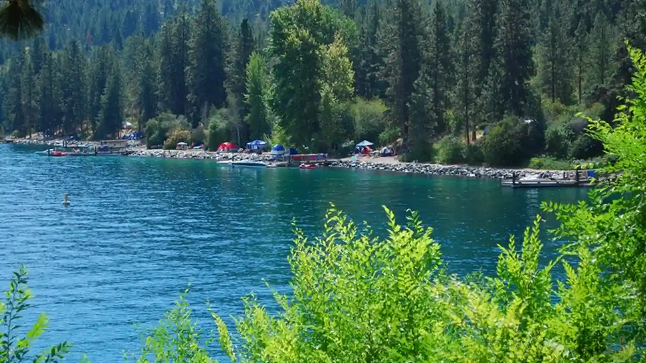 Close up on a plate of mashed potatoes, topped with baked pork chops with cream of mushroom soup, and a side of green beans.