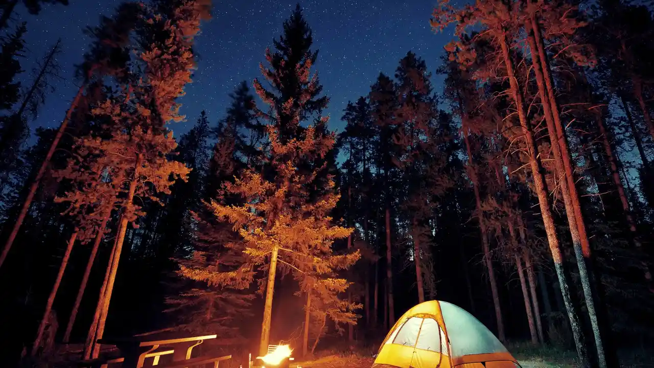 Close up on a plate of mashed potatoes, topped with baked pork chops with cream of mushroom soup, and a side of green beans.