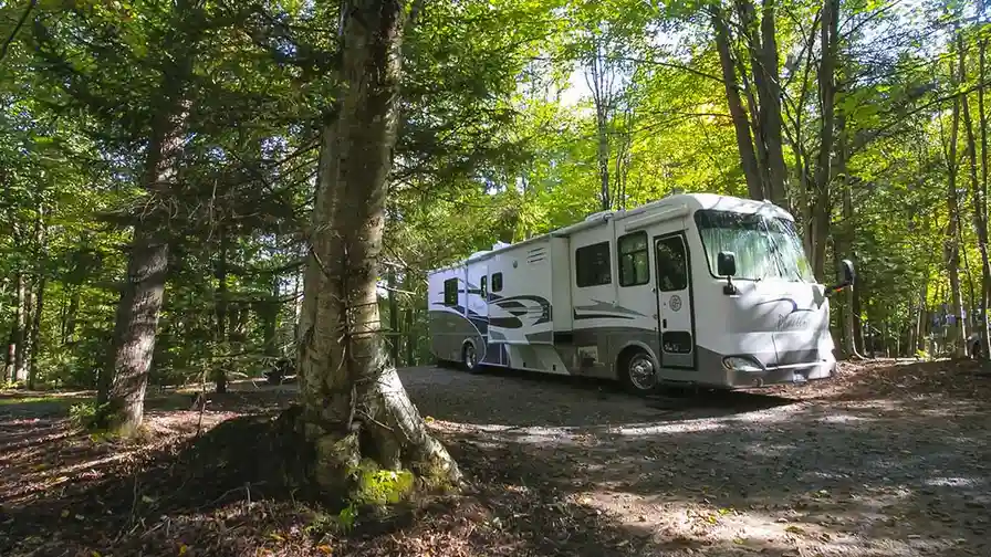 Close up on a plate of mashed potatoes, topped with baked pork chops with cream of mushroom soup, and a side of green beans.